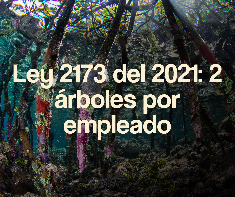 ley 2173