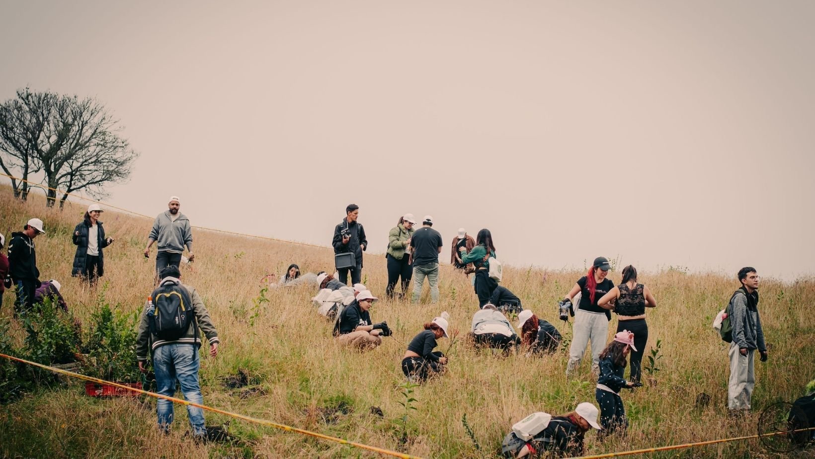 Vista aérea de los más de 5.000 árboles y arbustos nativos plantados en Soacha por Bauen Project