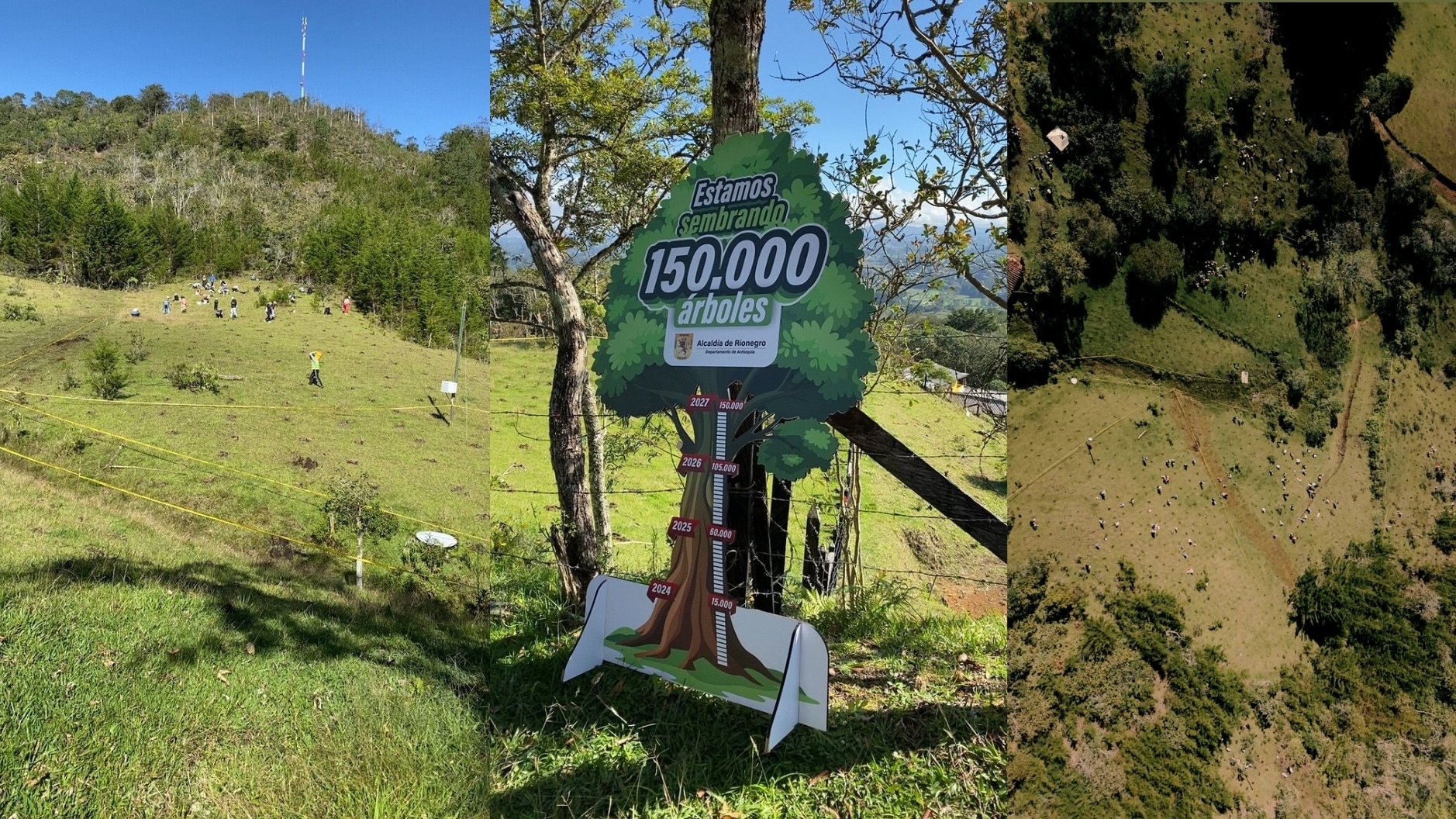 Voluntarios de Concentrix participando en una jornada de siembra masiva de árboles en Ríonegro