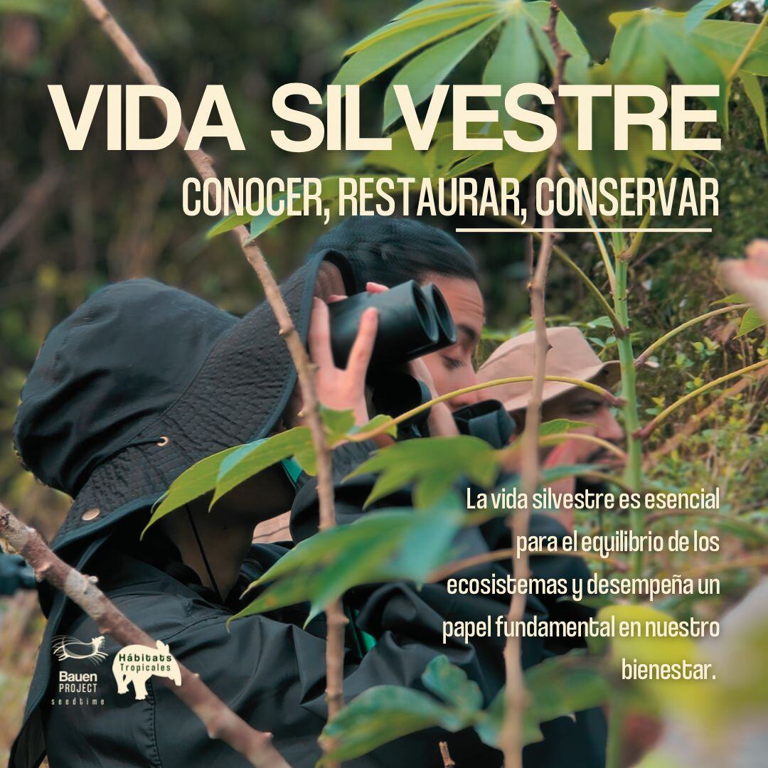 Vida silvestre